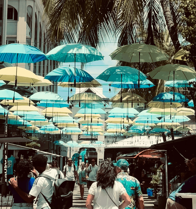 Umbrellas suspended above a busy street in Mauritius